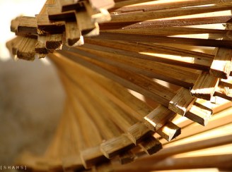 linguistic relativity