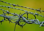 looping barbed wire forming a cage on a green background