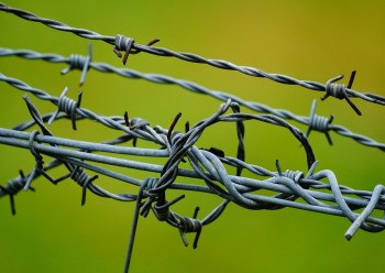 looping barbed wire forming a cage on a green background