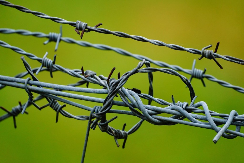 looping barbed wire forms a cage on a green background