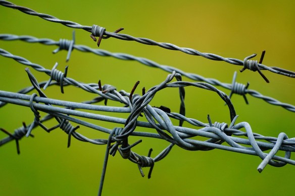 looping barbed wire forming a cage on a green background