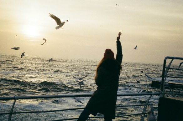 a woman on a ship raising her hands in freedom toward birds flying in the sky